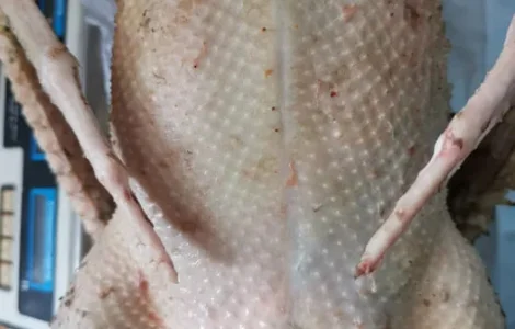 Тушки гуся, куры, утка, перепела и гусиный жир