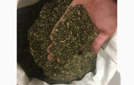 Сухенький самосад діди зацінять