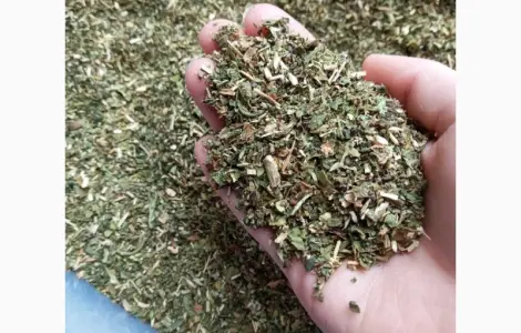Просто Махорка