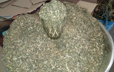 Домашні табаки не без палок і мусору Махорка Берлі Дюбек Вірджінія