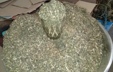 Домашние табаки не без палок и мусора Махорка Берли Дюбек Вирджиния