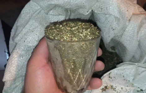 Махорка така як треба