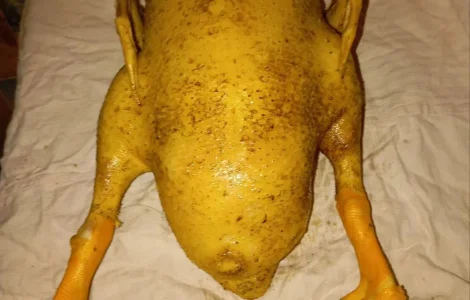 Продается мясо утки, тушка породы Чери-Велли