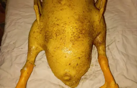 Продам м'ясо качки, тушка