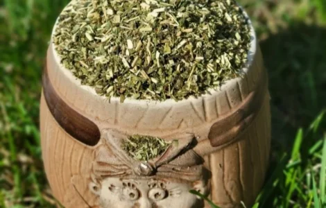 Домашній самосад