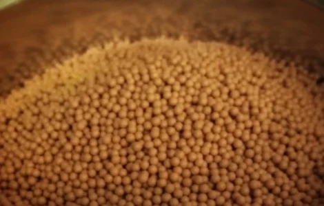 Насіння гібрид гранули тютюн