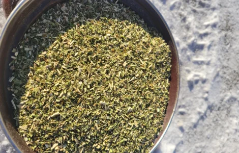 Махорка домашня