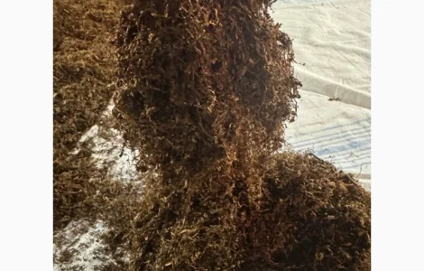 Табак продажа