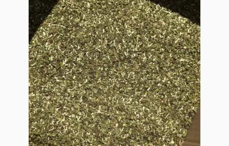 Продаж самосаду махорки високої якості