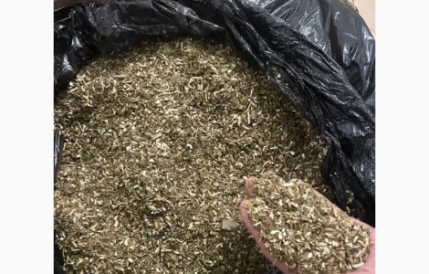 Махорка_Гарної_Якості_Самосад