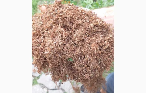 Продам тютюн розніца/ОПТ великій вибір