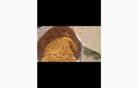 Тютюн хорошої якості