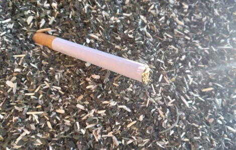 Продам махорку (самосад)урожай 2025р