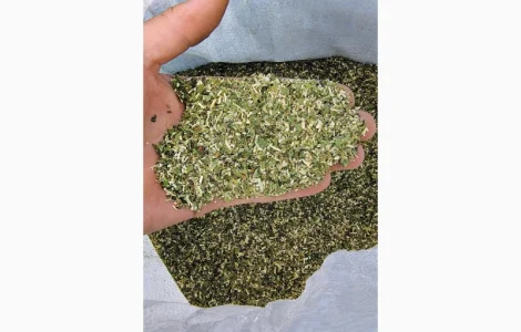 Продам махорку