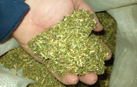 Продается махорка средней крепости