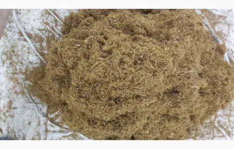 Проодам Тютюн Virginia ціна 700 грн 1кг