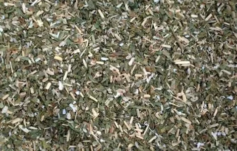 Продам махорку самосад