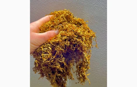 Премиум табак. Миллениум