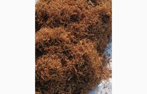 Тютюн якісний Верджинія