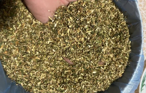 Продам самосад