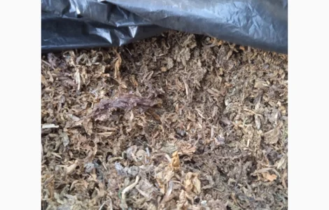 Табак вірджинія