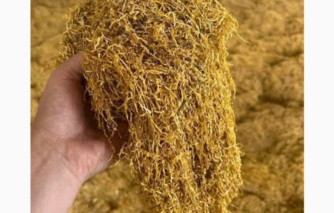 Табак) Тютюн Гарної якості усі види