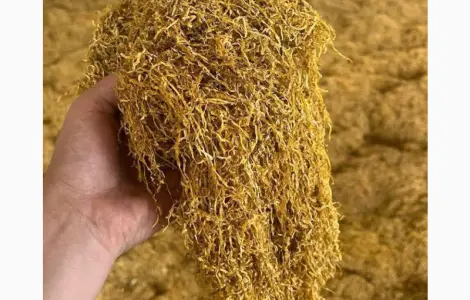 Тютюн високої якості, всі види