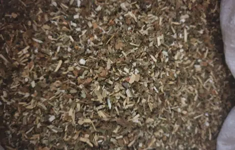 Продается самосад - 300 стаканов в мешке