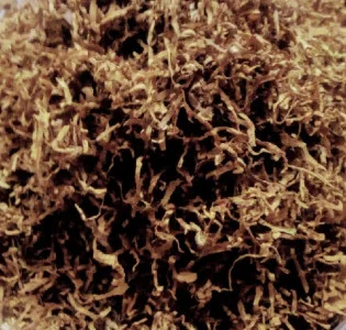 Продам Берлі тютюн