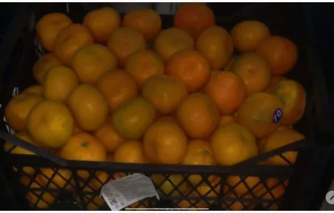 Регулярні поставки овочів та фруктів з Туреччини