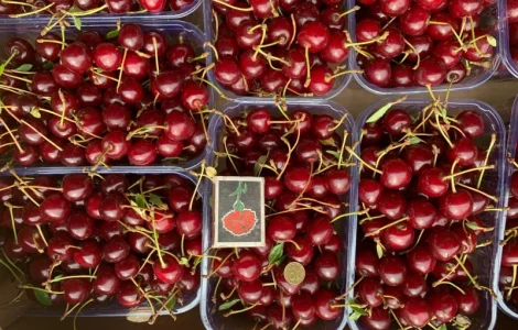 Продаємо кісточкові фрукти з саду по сезону дозрівання Врожай 2026 року