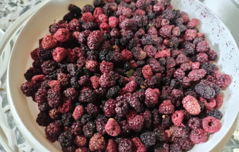 Продам сушені Яблука Абрикоси Ожина Вишня