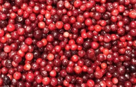 Польська компанія пропонує заморожені ягоди та овочі за низькими цінами