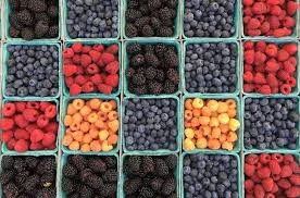 Полтавщина | Прийом замовлень на ягоди 2025 | Малина