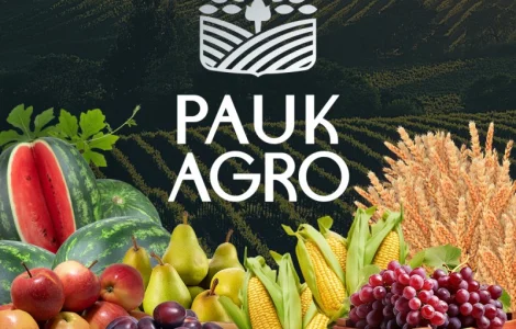 Співпраця з супермаркетами. ФГ продасть яблука