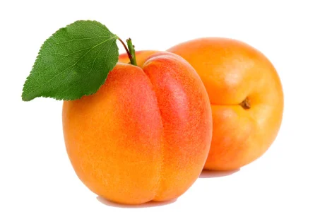 Куплю абрикосы для переработки