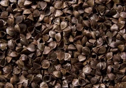 Продам шелуху ( лузгу ) гречихи