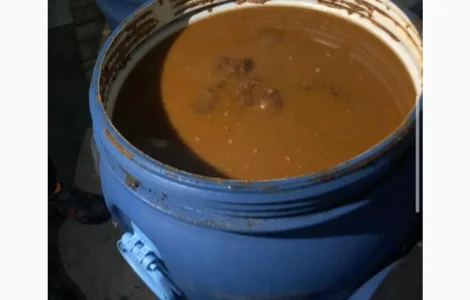 Фундукова паста - виробництво Грузія