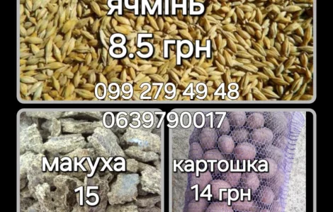 Ячмінь макуха картопля сіль