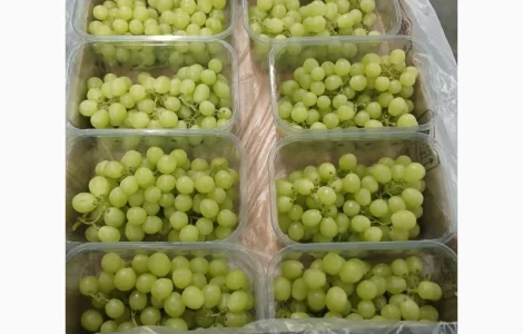 Продам виноград із Египту