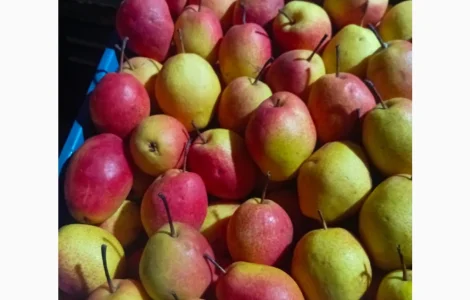 Продам нрушу