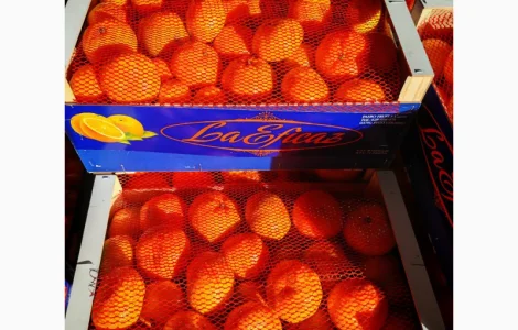 Продаются свежие мандарины от производителей