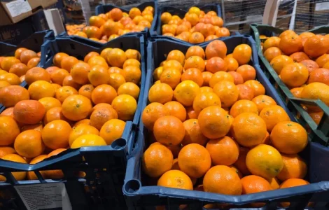 Продам мандарин Турція