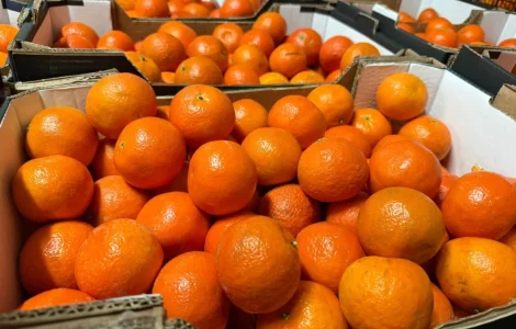 Мандарин ту