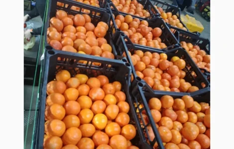 Мандарины сорта Нова в продаже