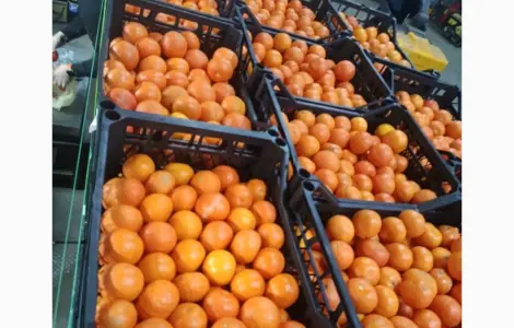 Мандарины сорта Нова в продаже