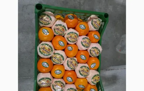 Мандарини з Туреччини
