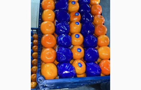 Мандарин Туреччина