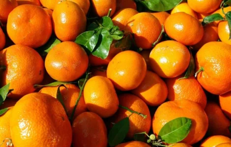 Купуємо мандарини оптом! Київ та область