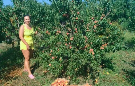 Персик от производителя крупный/мелки опт